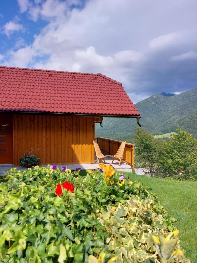 Pocitniska Hiska Lastovka Podvolovljek Exterior foto