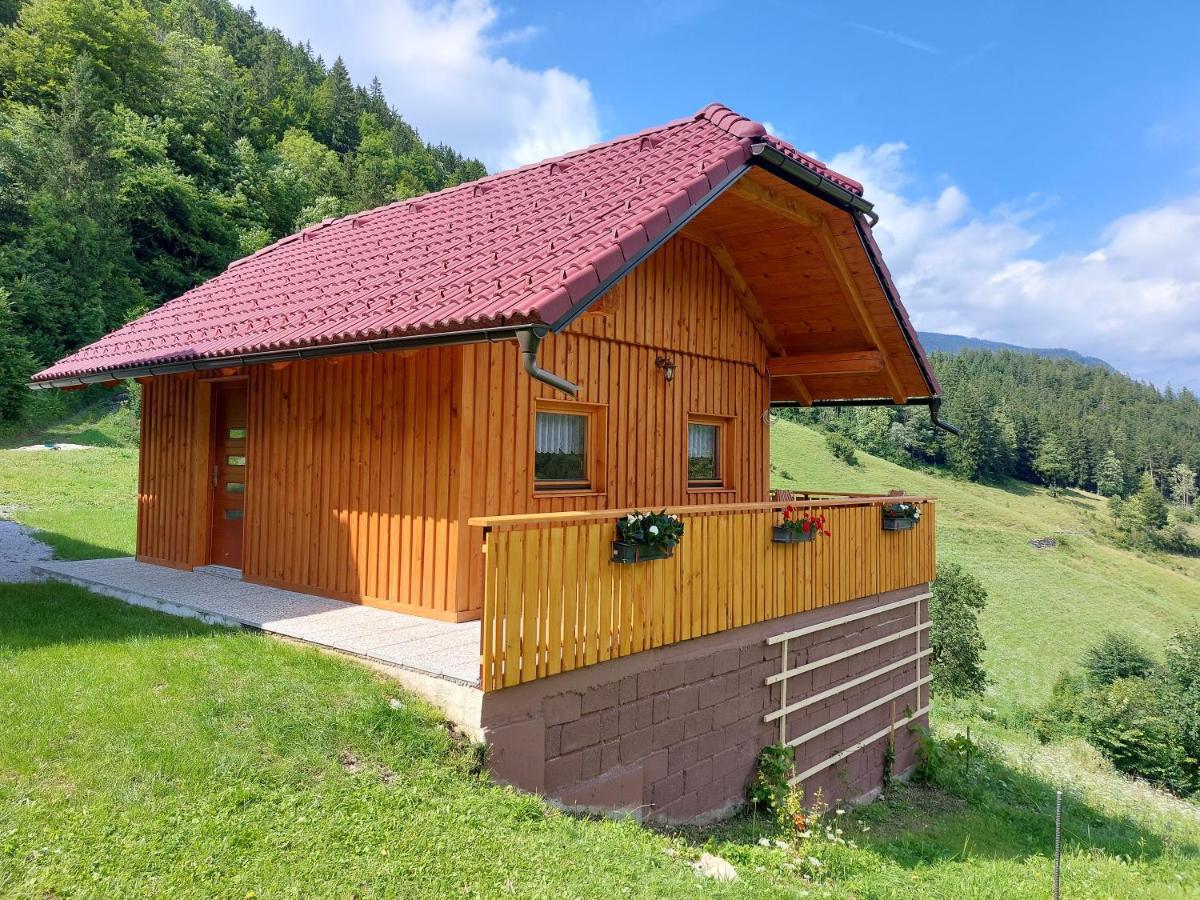 Pocitniska Hiska Lastovka Podvolovljek Exterior foto