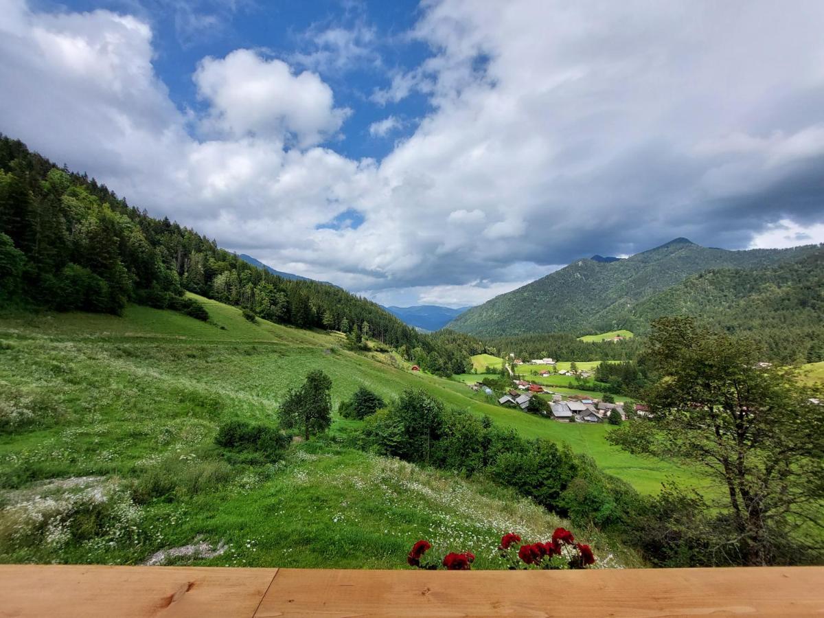 Pocitniska Hiska Lastovka Podvolovljek Exterior foto