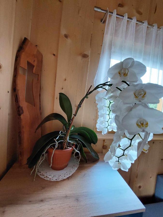 Pocitniska Hiska Lastovka Podvolovljek Exterior foto
